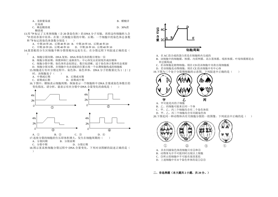 高中生物必修一单元测试4--细胞增殖_第2页