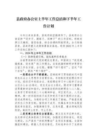 县政府办公室上半年工作总结和下半年工作计划