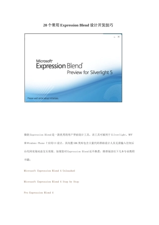 软件工程师-20个常用ExpressionBlend设计开发技巧