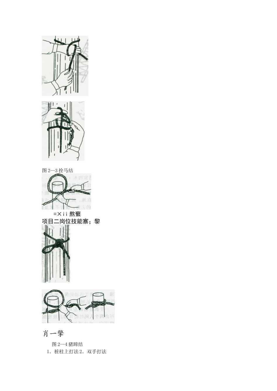 畜牧兽医岗位技能培训资料_第3页