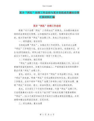 某乡“两乱”治理工作总结与某乡党组成员廉洁自律汇报材料汇编