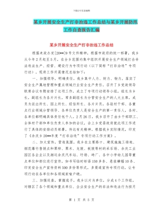 某乡开展安全生产打非治违工作总结与某乡开展防汛工作自查报告汇编