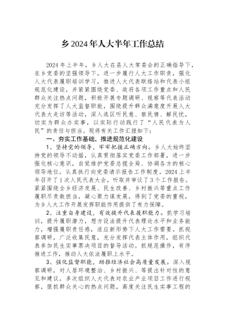 乡2024年人大半年工作总结