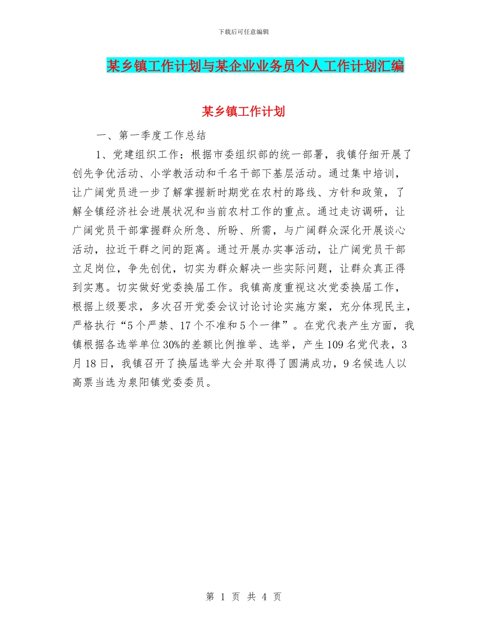 某乡镇工作计划与某企业业务员个人工作计划汇编_第1页