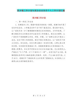 某乡镇工作计划与某企业业务员个人工作计划汇编
