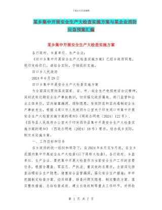 某乡集中开展安全生产大检查实施方案与某企业消防应急预案汇编
