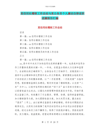 某信用社稽核工作总结与某公务员个人廉洁自律述职述廉报告汇编