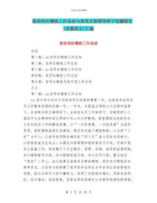 某信用社稽核工作总结与某党支部领导班子述廉报告汇编