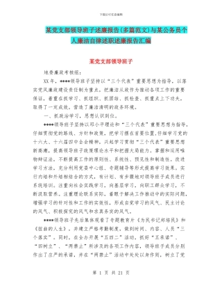 某党支部领导班子述廉报告与某公务员个人廉洁自律述职述廉报告汇编
