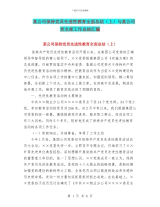 某公司保持党员先进性教育全面总结与某公司党支部工作总结汇编