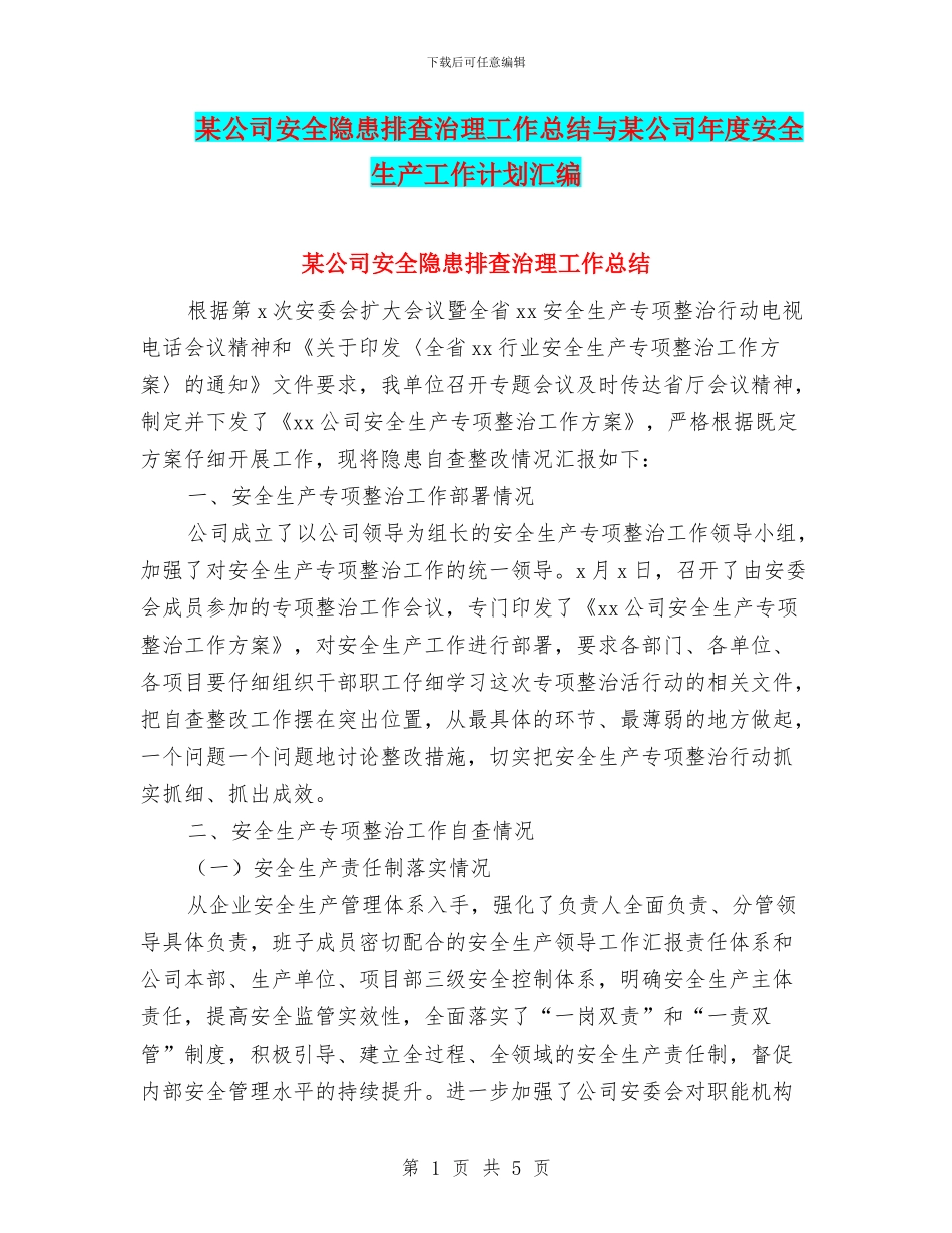 某公司安全隐患排查治理工作总结与某公司年度安全生产工作计划汇编_第1页