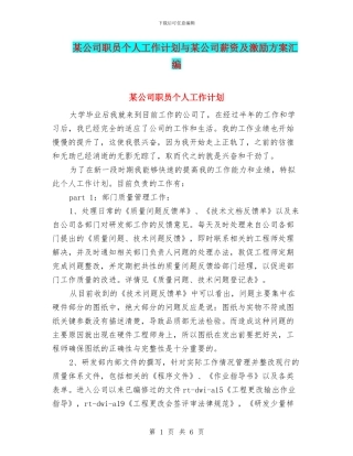 某公司职员个人工作计划与某公司薪资及激励方案汇编