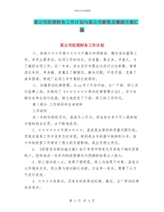 某公司经理财务工作计划与某公司薪资及激励方案汇编