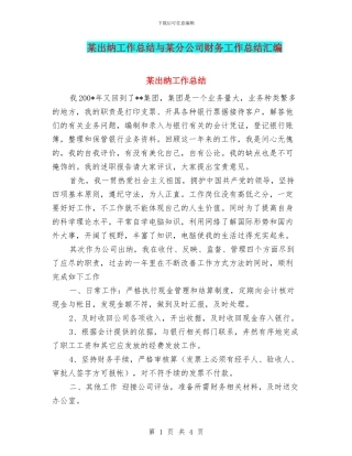 某出纳工作总结与某分公司财务工作总结汇编.doc