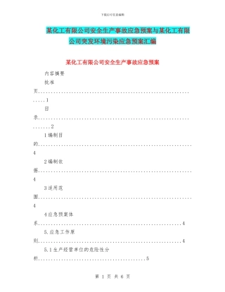 某化工有限公司安全生产事故应急预案与某化工有限公司突发环境污染应急预案汇编