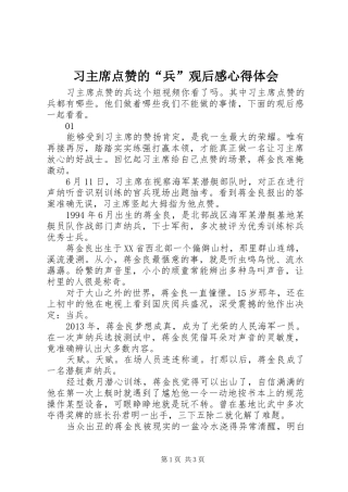 习主席点赞的“兵”观后感心得体会