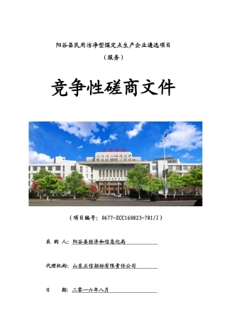 民用洁净型煤定点生产企业遴选项目发售稿