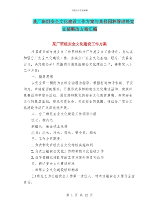 某厂班组安全文化建设工作方案与某县园林管理处党支部整改方案汇编