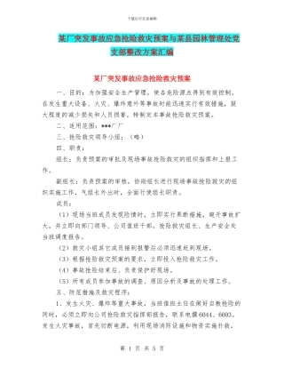 某厂突发事故应急抢险救灾预案与某县园林管理处党支部整改方案汇编