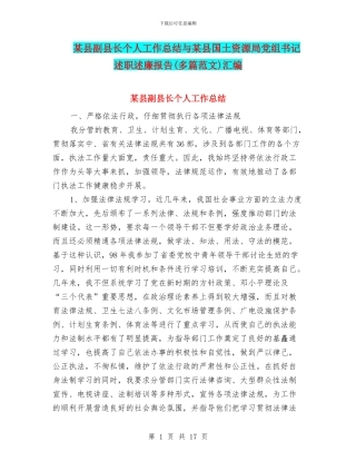 某县副县长个人工作总结与某县国土资源局党组书记述职述廉报告汇编