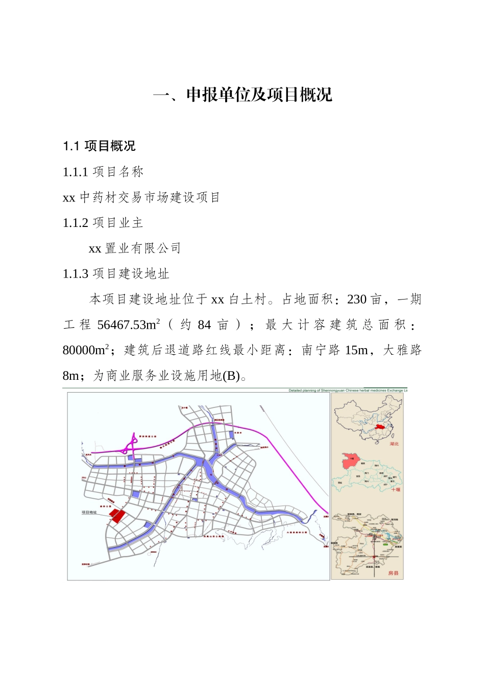 中药材交易市场建设项目_第1页