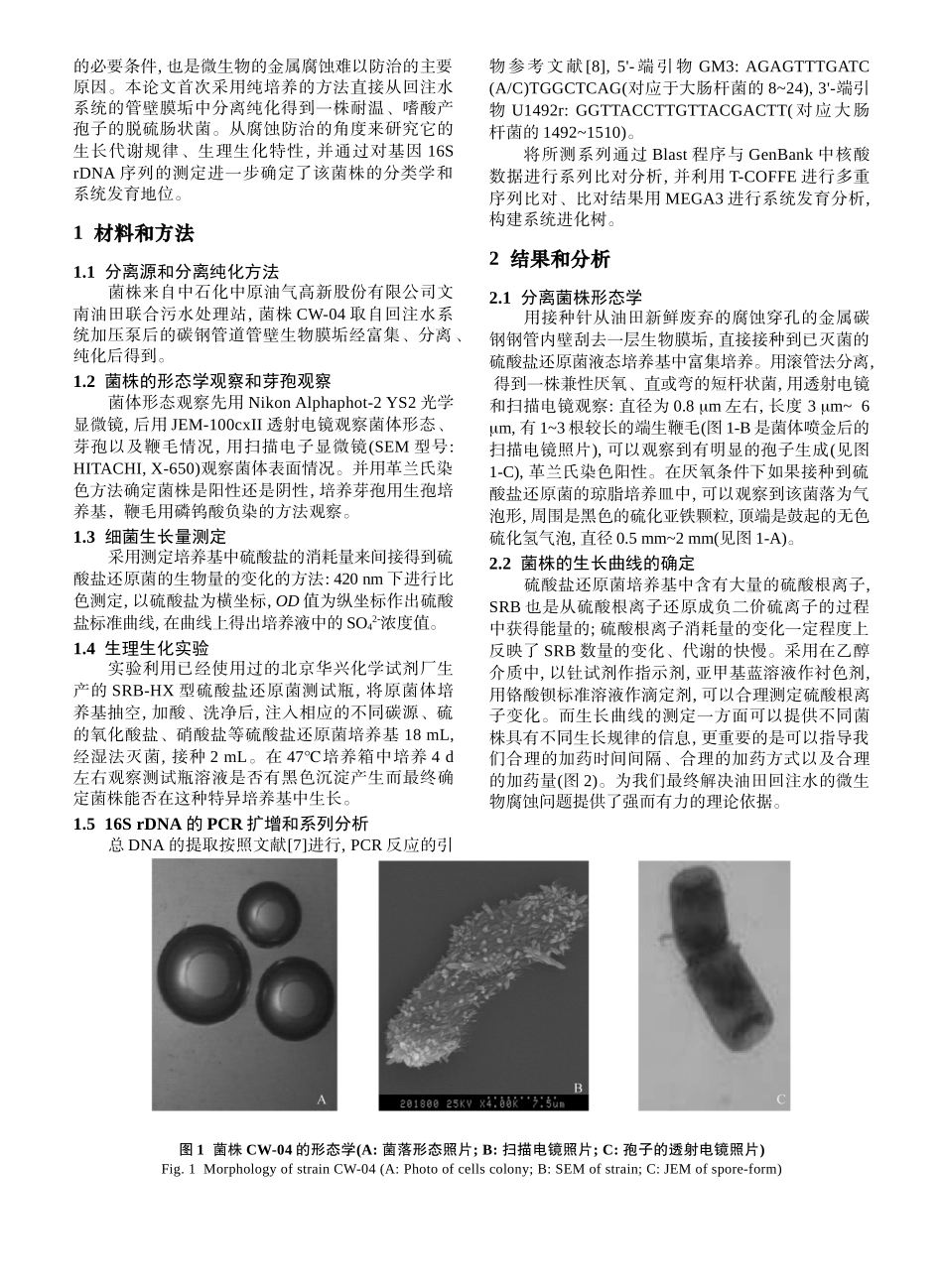 腐蚀生物膜垢中硫酸盐还原菌的系统进化分析_第2页