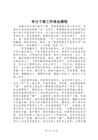 审计干部工作体会感悟