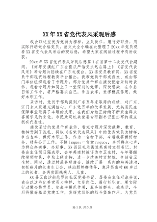XX年XX省党代表风采观后感