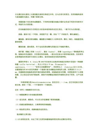 武汉大学微生物学考研资料