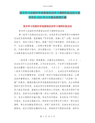 某市学习实践科学发展观活动学习调研阶段总结与某市市长2024年元旦晚会致辞汇编