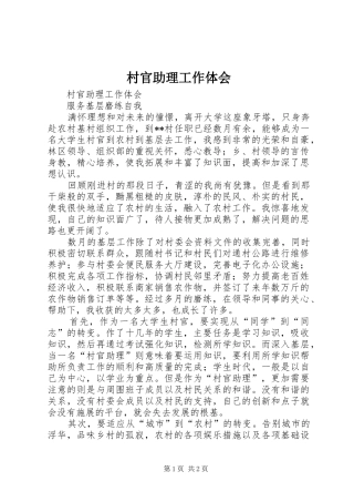 村官助理工作体会