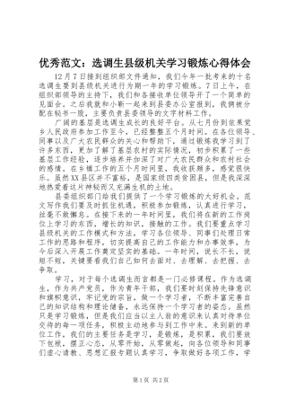 优秀范文：选调生县级机关学习锻炼心得体会