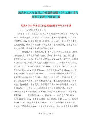 某某乡2024年各项工作进展情况暨下半年工作打算与某某乡妇联工作总结汇编