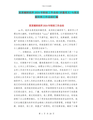 某某镇财政所2024年财政工作总结与某法庭年终工作总结汇编