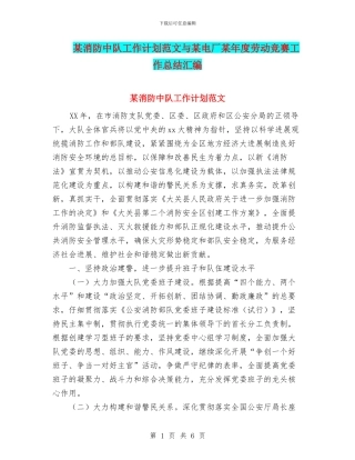 某消防中队工作计划范文与某电厂某年度劳动竞赛工作总结汇编