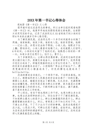 20XX年第一书记心得体会