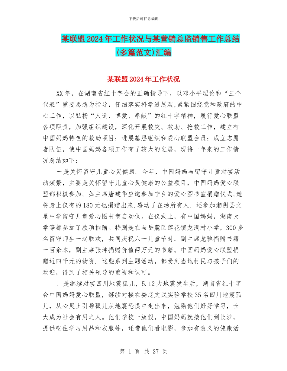 某联盟2024年工作状况与某营销总监销售工作总结汇编_第1页