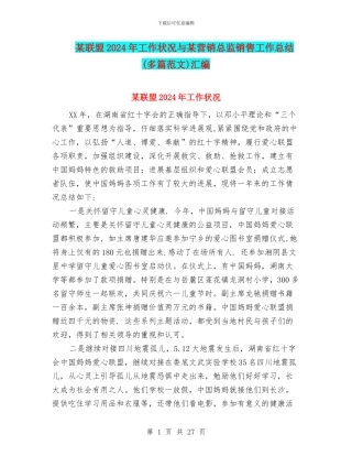 某联盟2024年工作状况与某营销总监销售工作总结汇编