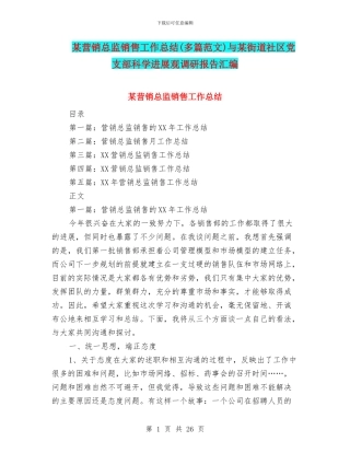 某营销总监销售工作总结与某街道社区党支部科学发展观调研报告汇编