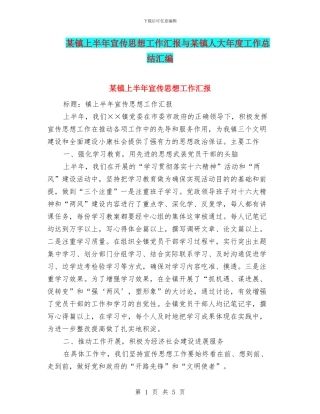 某镇上半年宣传思想工作汇报与某镇人大年度工作总结汇编