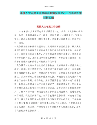 某镇人大年度工作总结与某镇安全生产工作总结汇报材料汇编