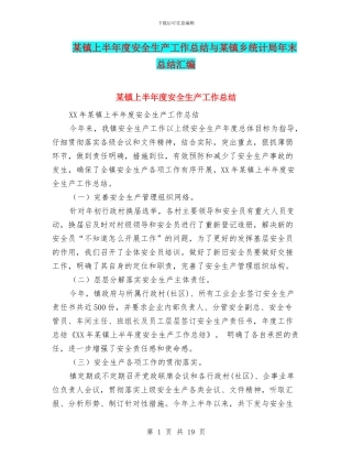 某镇上半年度安全生产工作总结与某镇乡统计局年末总结汇编