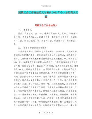 某镇工会工作总结范文与柜员2024年个人总结范文汇编