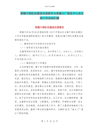某镇干部队伍建设自查报告与某镇文广服务中心党支部工作总结汇编