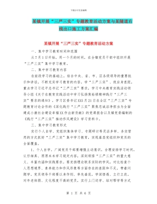 某镇开展“三严三实”专题教育活动方案与某隧道右线出口施工方案汇编