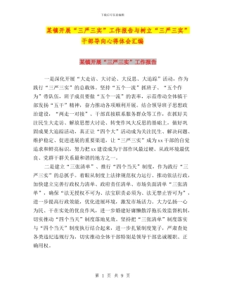 某镇开展“三严三实”工作报告与树立“三严三实”干部导向心得体会汇编