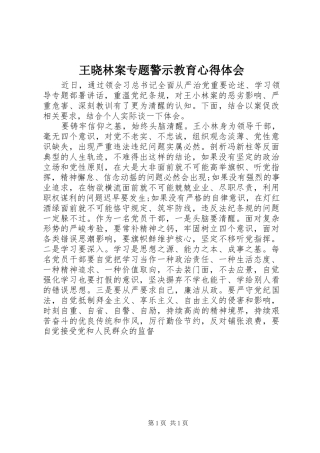 王晓林案专题警示教育心得体会
