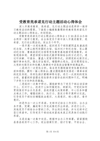受教育亮承诺见行动主题活动心得体会