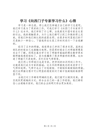学习《向西门子专家学习什么》心得