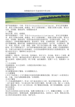 栝楼栽培技术